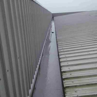 Untitled design (6)